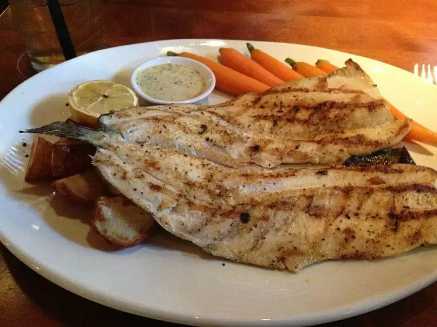 Grilled rainbow trout fillets