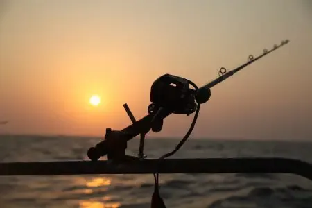 electric fishing reel