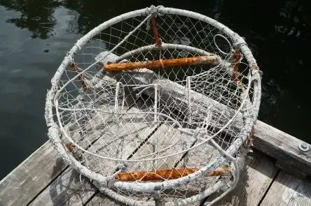 fishing with a crab trap