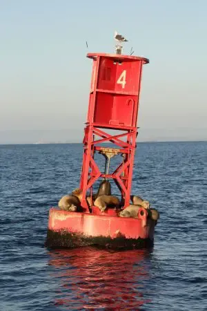 fishing around a buoy