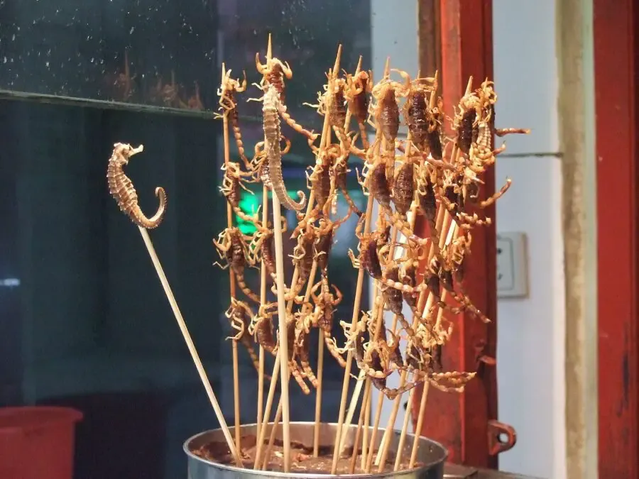 Seahorse and scorpion skewers as street food