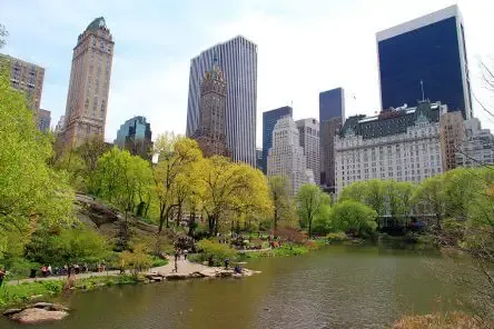 Complete Guide to Fishing in Central Park NYC