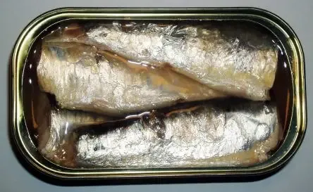 can you eat sardines