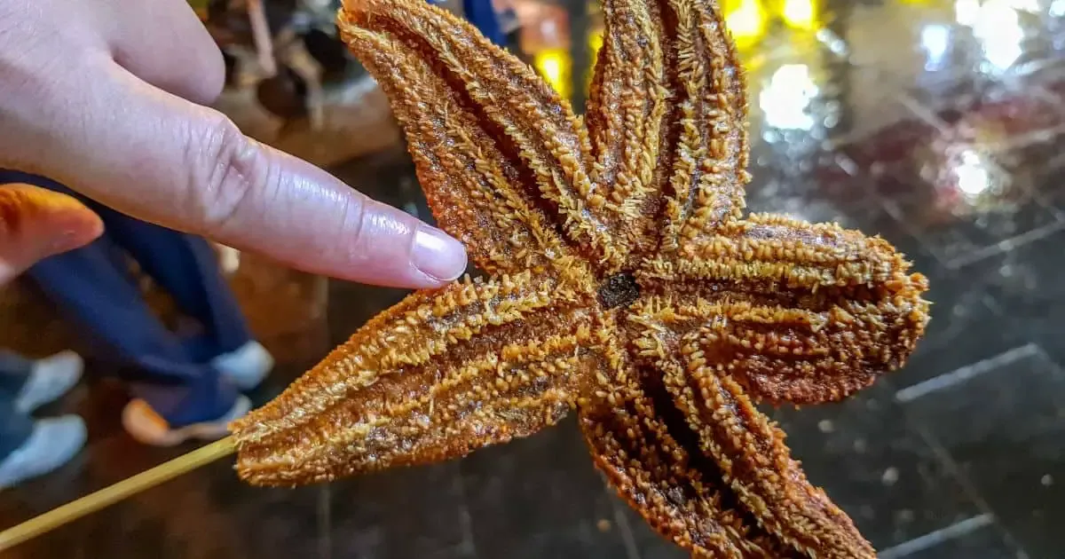 Fried starfish night market