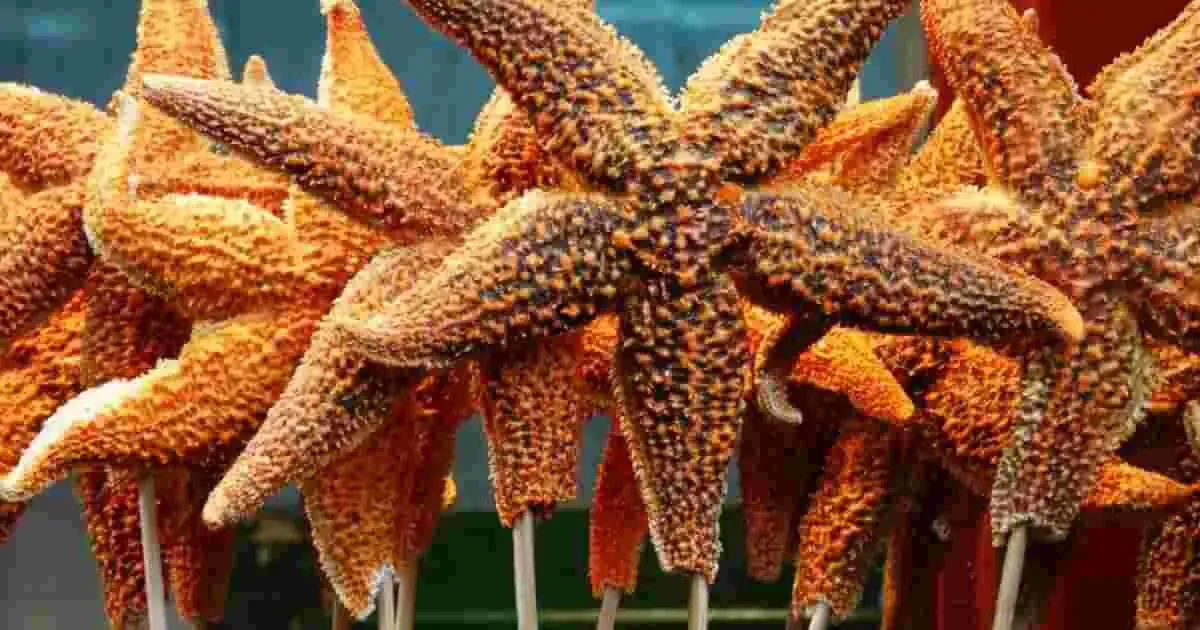 how to eat starfish