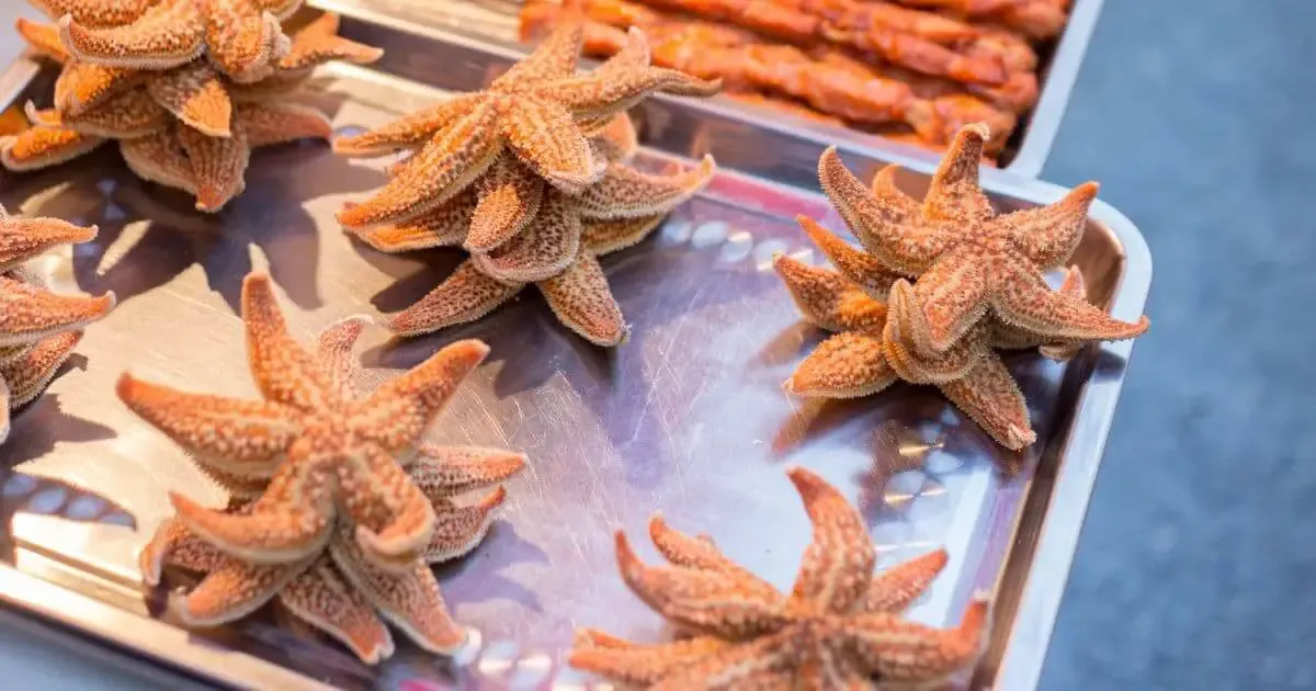 is starfish edible